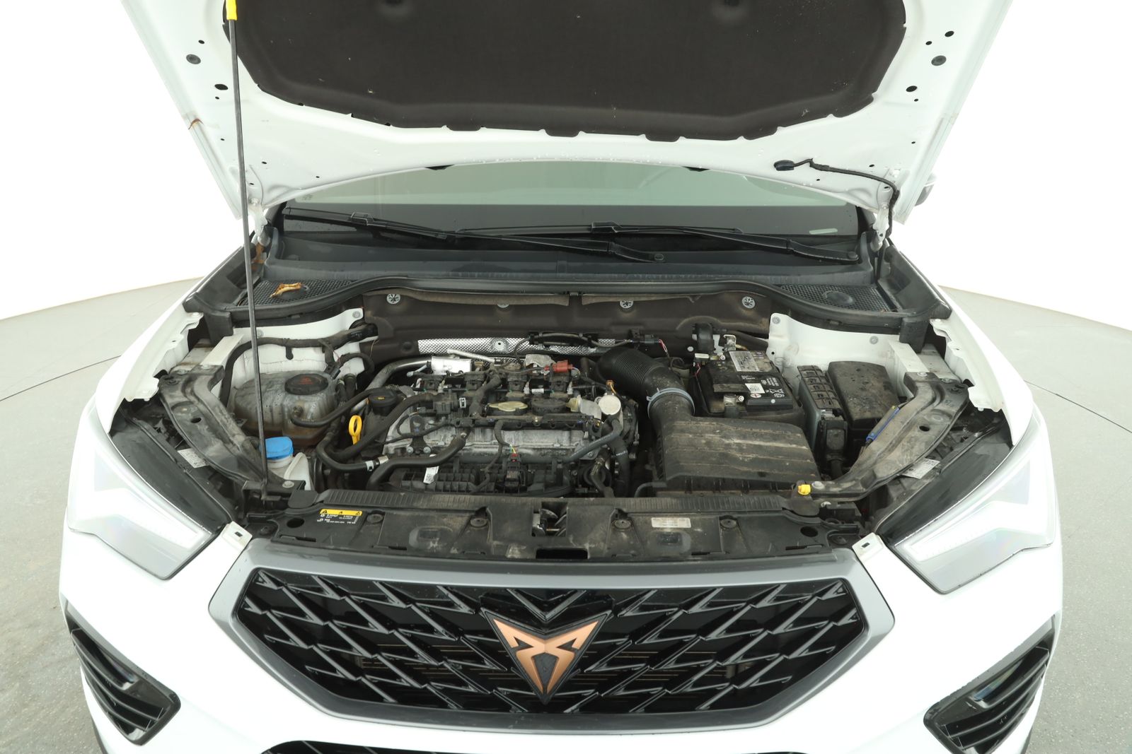 Cupra Ateca - Bild 9
