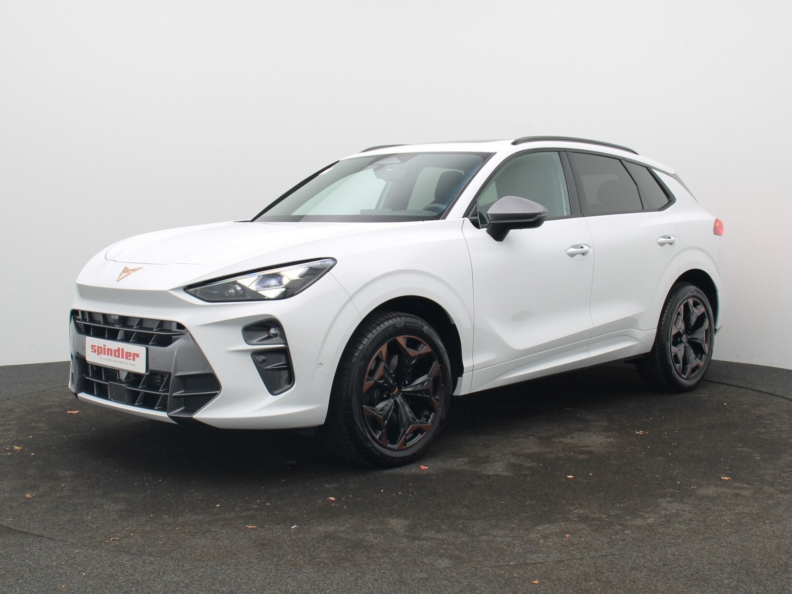 Cupra Terramar VZ 2.0 TSI 4Drive DSG HD-Matrix Navi foto 2
