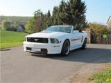 Ford Mustang GT/CS Cabrio 4.6l V8 BJ.2008 - Ford Mustang: Cabrio, V6