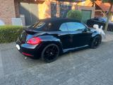 Volkswagen Beetle 2.0 DSG R-Line Cabrio 220PS - 20 Zoll - Volkswagen Beetle: R Line