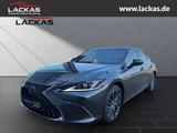 Lexus ES 300 *h*BUSINESS*SOFORT*SCHI EBEDACH*15J-GARAN - graue Lexus ES-Serie