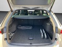 Skoda Octavia - Vorschau Bild 17