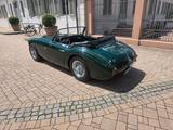 Austin Healey MK II - Austin Healey Oldtimer
