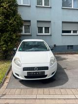 Fiat Punto 1.2 8V Classic Classic - Fiat Punto: Classic