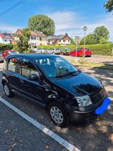 Fiat Panda - Fiat Panda in Wiesbaden