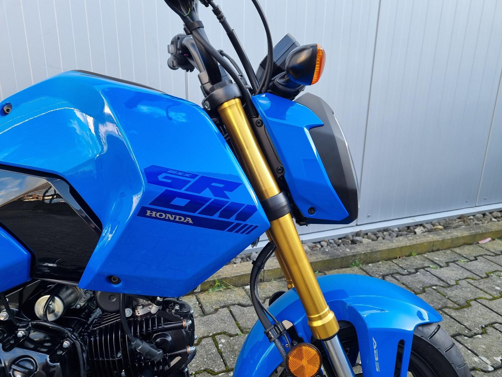 Honda MSX 125 Grom 2025 *TZ 09/25*  6 J Garantie *