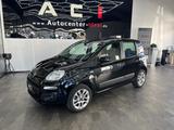 Fiat Panda 1.2 Lounge , HU/AU Neu, AHK vrb. - Fiat Panda: Lounge