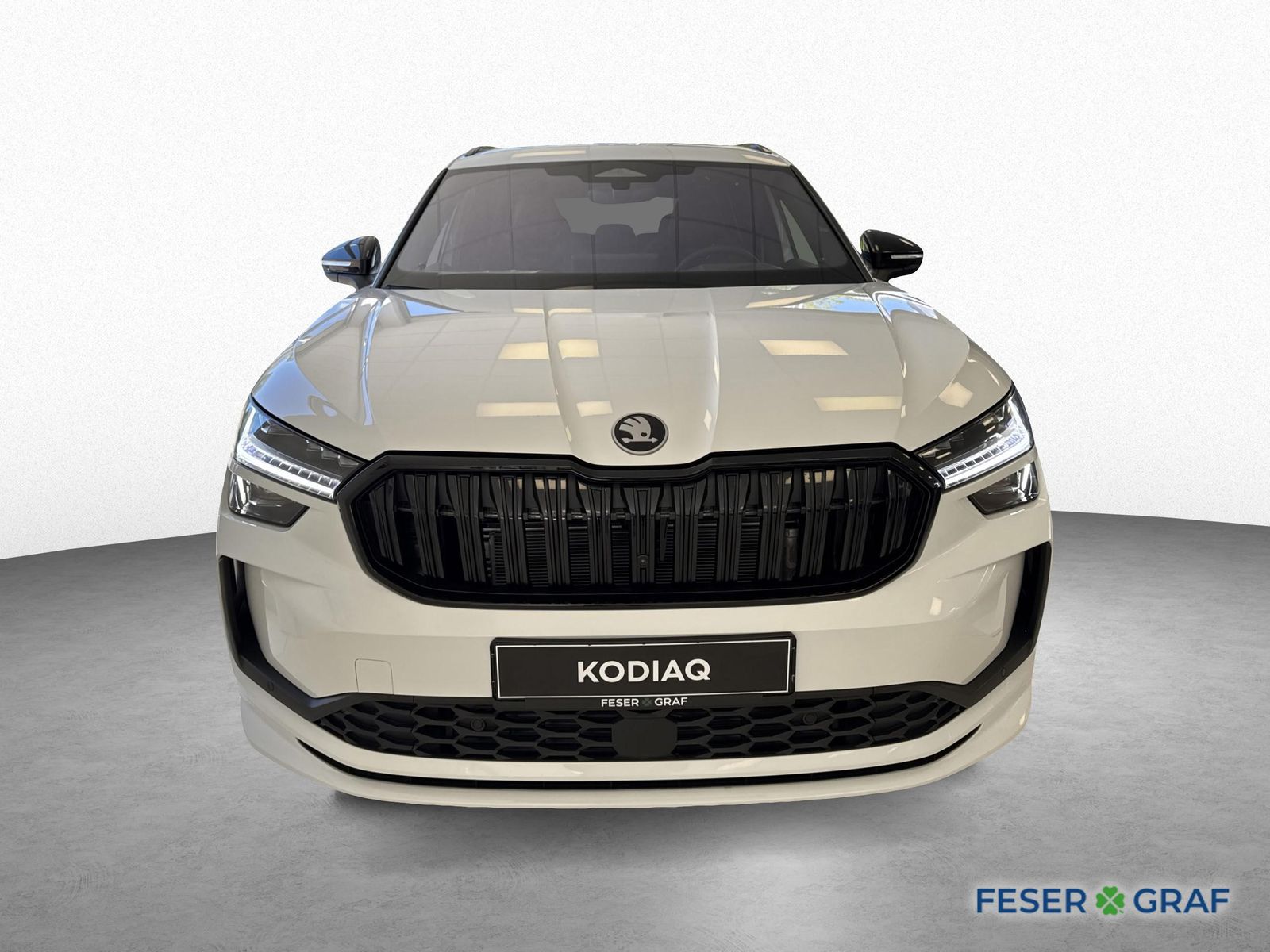 Skoda Kodiaq - Bild 2