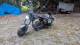 Andere Mangosteen M1PS  - ELEKTRO CHOPPER