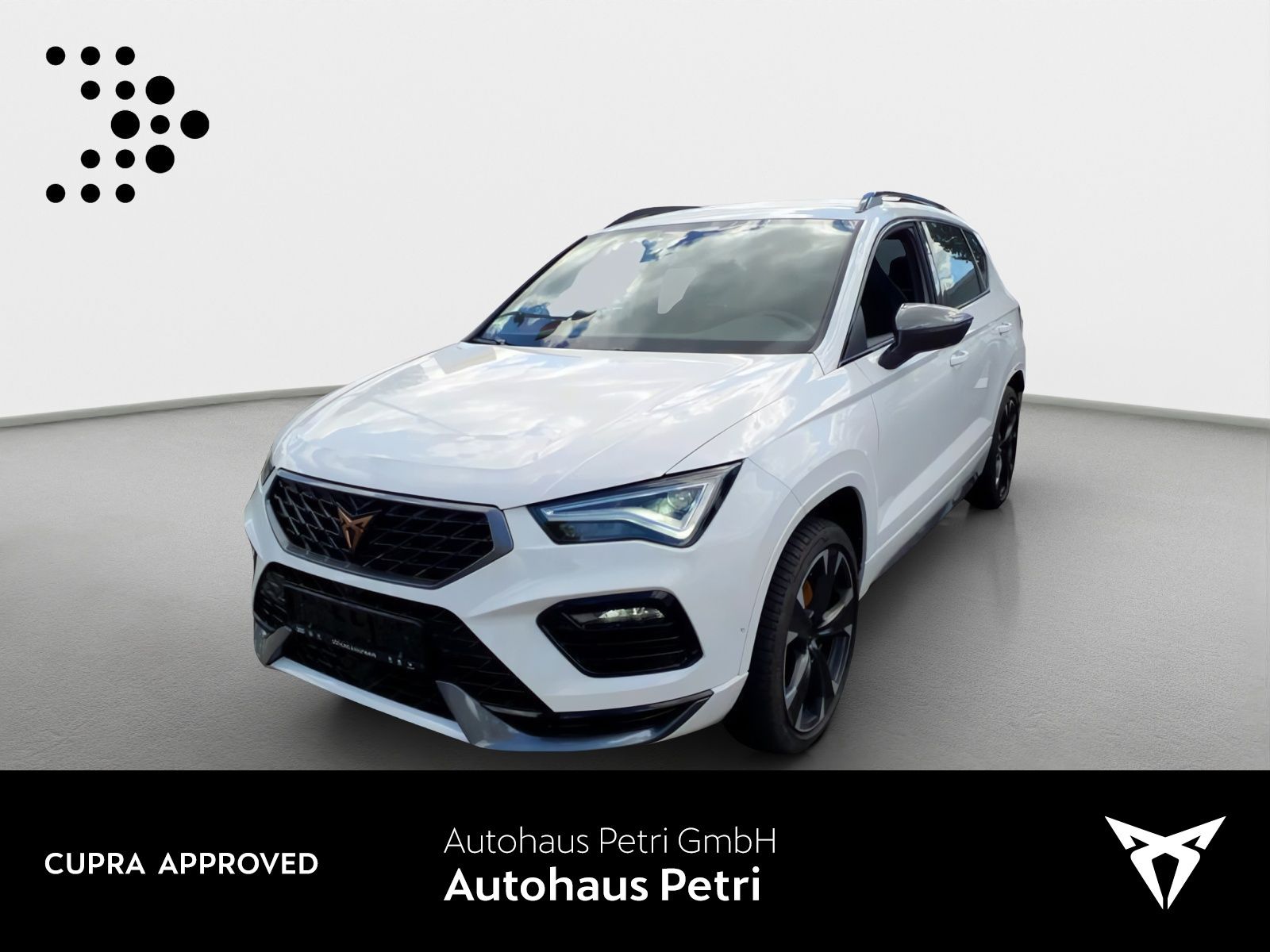 Cupra Ateca 2.0 TSI 4x4 NAVI AHK KAM SHZ KEYLESS foto 1