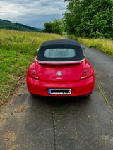 Volkswagen New Beetle Cabrio - top Fahrzeug - Fahrzeug gebraucht