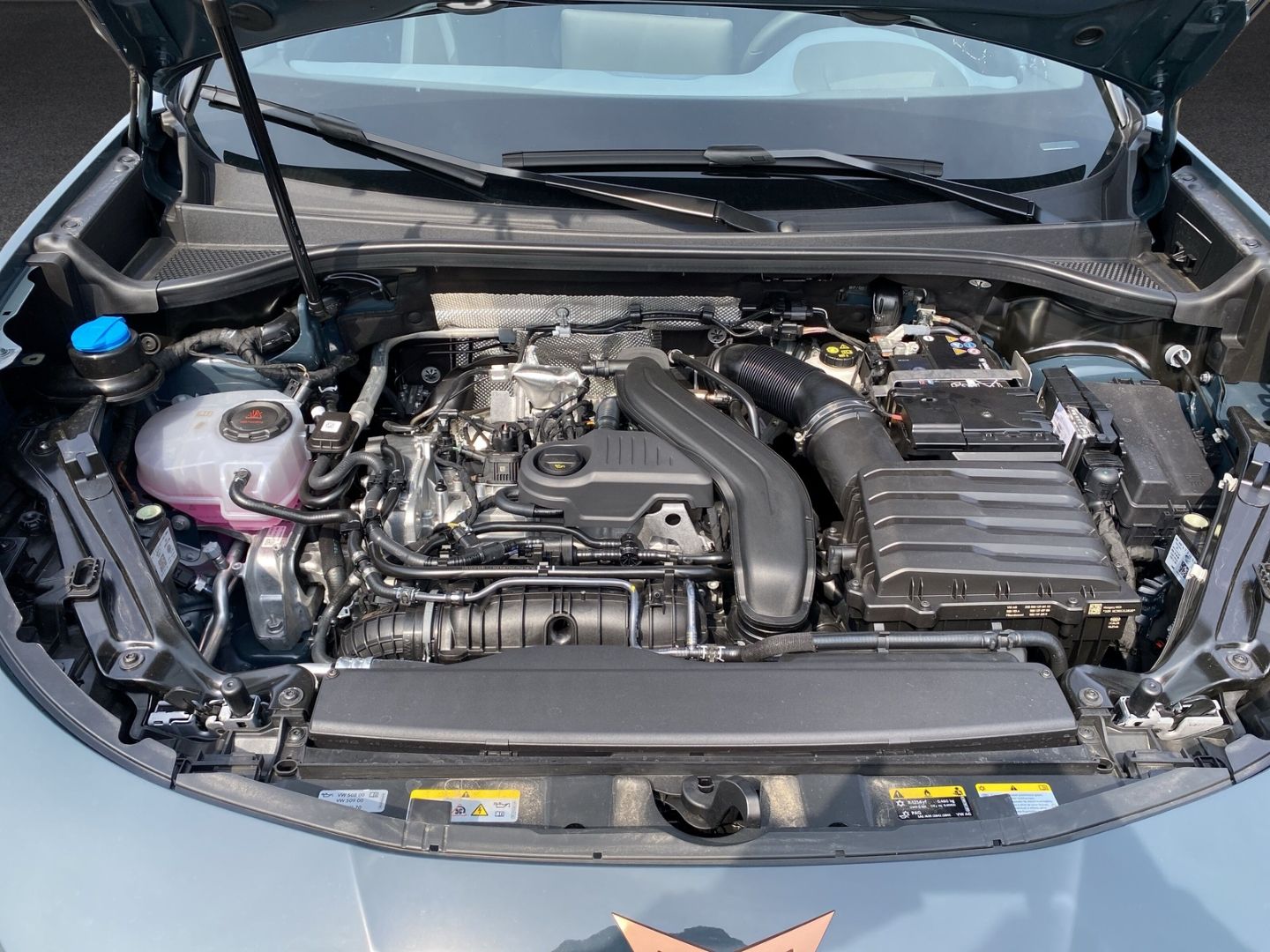 Fahrzeugabbildung CUPRA Terramar 1.5 eTSI 110 kW EU6e Digitales Cockpit