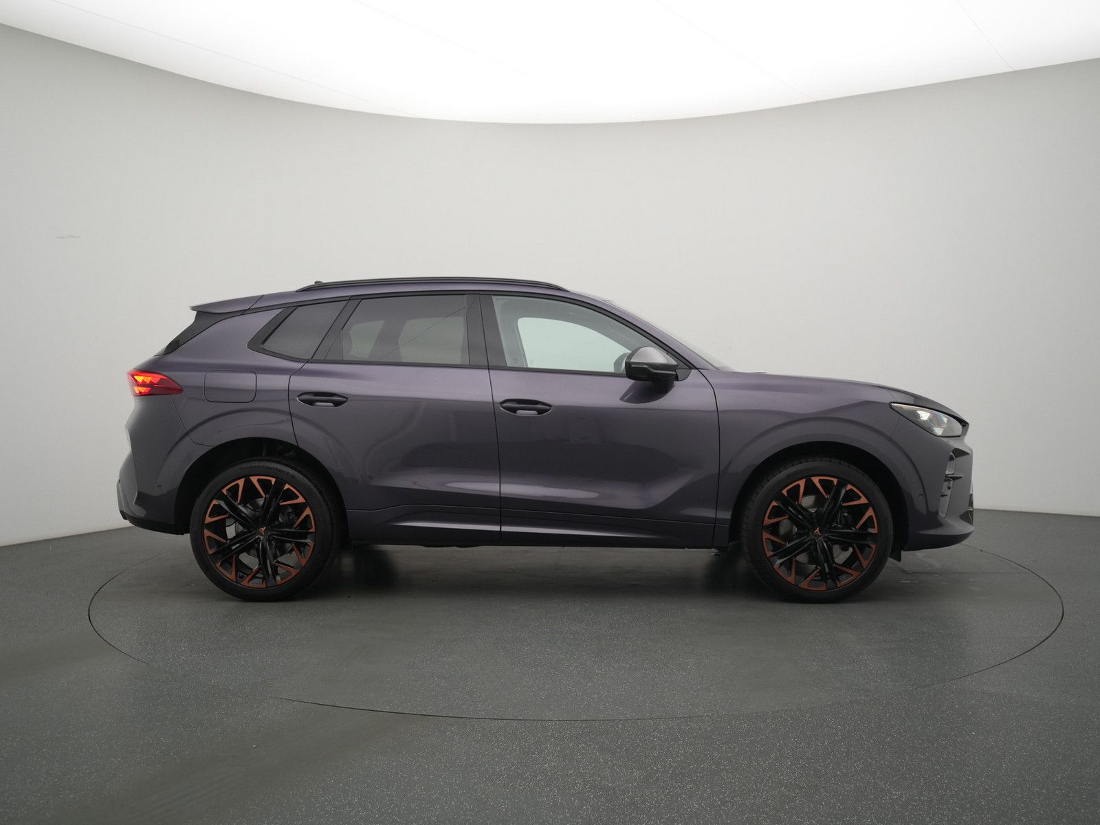 Cupra Terramar - Bild 3
