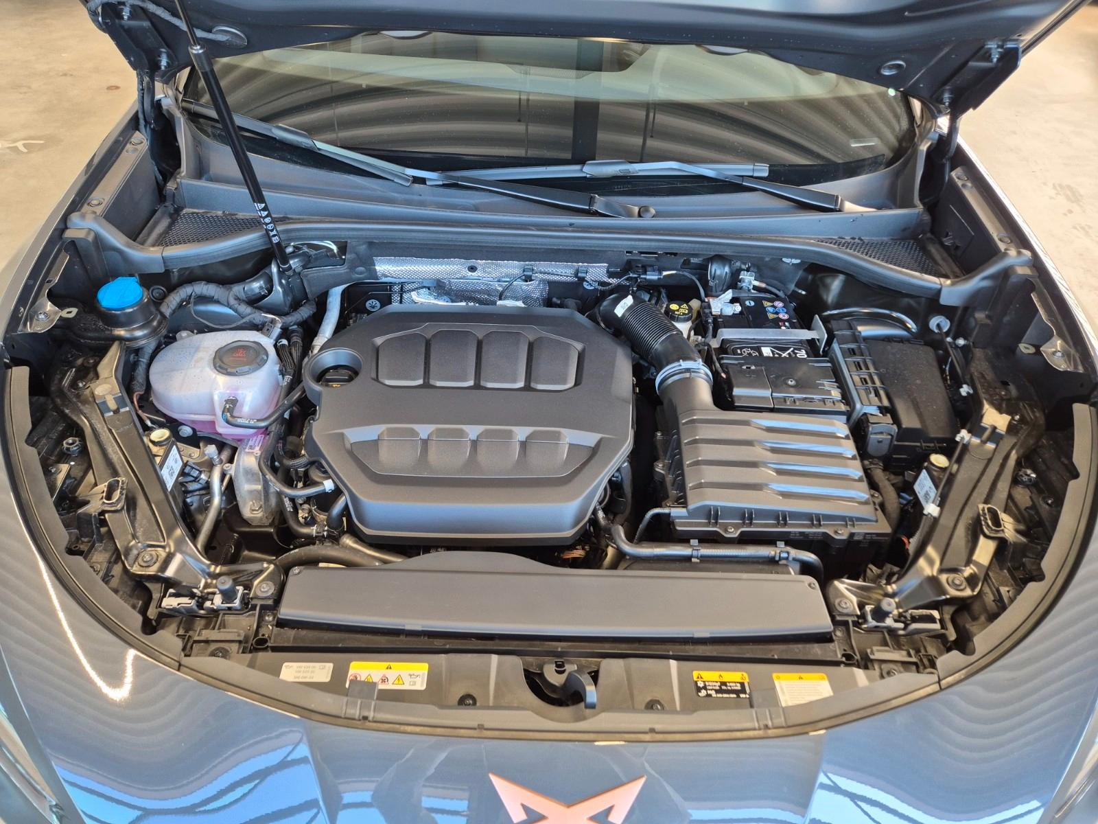 Cupra Terramar VZ 2.0 TSI 4DRIVE 5 JAHRE GARANTIE AHK, миниатюра 30