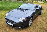 Jaguar XK 4.2 L V8 Cabriolet - - Jaguar XK von privat