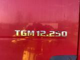 MAN tgl 12.250 - MAN Tgl 12 250