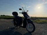 Honda SH 150 / SH150i Topcase Windschutzscheibe - HONDA ROLLER SH150I