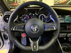 Fahrzeugabbildung Alfa Romeo Giulia 2.9 V6 QUADRIFOGLIO NAVI/KAMERA/CARBON/SH