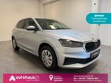 Skoda Fabia 1.0 TSI Carplay|LED|PDC|Sitzhzg. - Skoda Fabia Gebrauchtwagen in Frankfurt