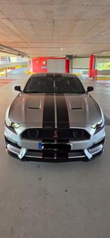 Ford Mustang 2.3 EcoBoost SHELBY Look - silberne Ford Mustang