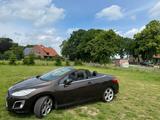 Peugeot 308 CC Allure 155 THP Allure - Peugeot 308 in Hamm