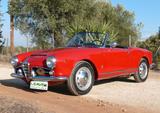 Alfa Romeo Giulia 1600 Spider (M1383) - Alfa Romeo Giulia: Cabrio