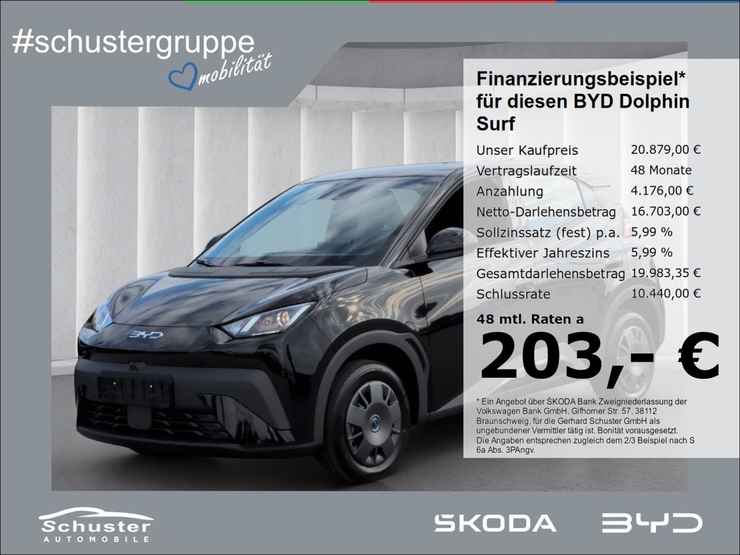 BYD Dolphin Surf Active*ACC Navi R-Kam Leder Keyless