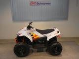 CFMOTO C FORCE EV 110 CFORCE - CFMOTO CFORCE EV110