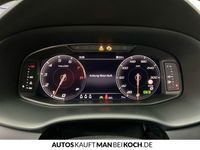 Cupra Ateca - Vorschau Bild 13