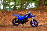 Yamaha PW50 *2025*Am Lager - sofort verfügbar!* - YAMAHA PW