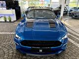 Ford Mustang GT V8 PAKET 55 | 1.Hand + FORD Garantie - gebrauchte Ford Mustang aus dem Jahr 2020