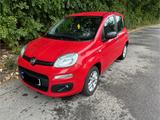 Fiat Panda 1.2 City - Fiat Panda in Chemnitz