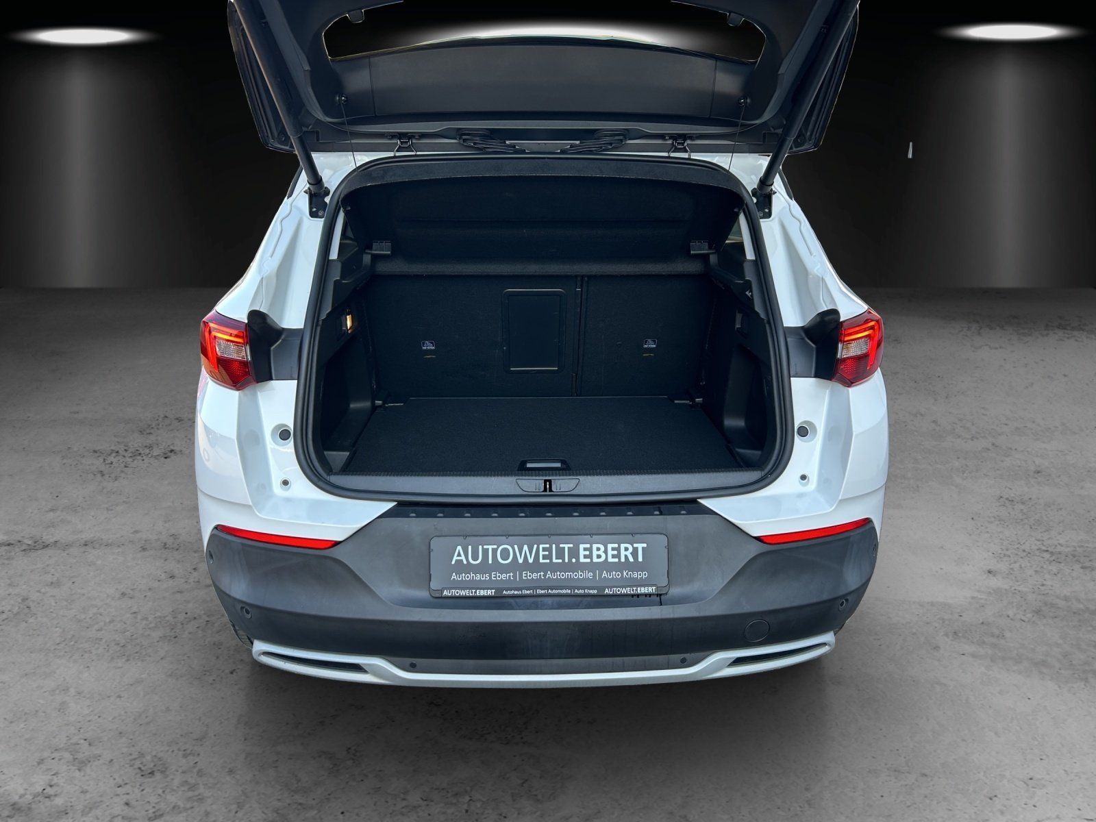 Fahrzeugabbildung Opel Grandland X 2.0 CDTI Aut./Bi-LED/ACC/360°/AHK/