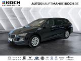 Skoda Octavia Combi 2.0 TDI DSG WINTER+ ACC LED APP - Skoda Octavia Tageszulassungen mit Diesel-Antrieb