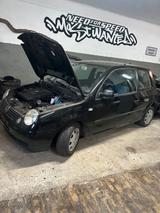 Volkswagen VW Lupo 1.0 Tüv 12.27 - Volkswagen Lupo: 1.2