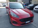 Ford Kuga 1.5 EcoBlue 120 CV aut. 2WD ST-Line X - Ford Kuga mit Diesel-Antrieb: Kombi, Automatik