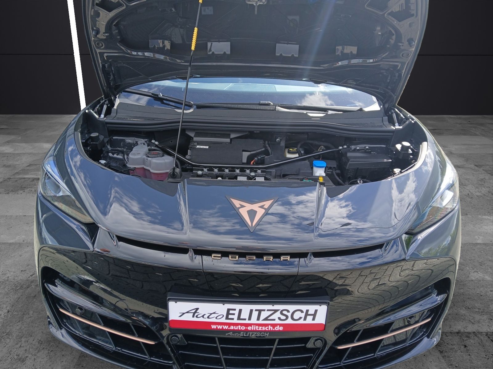 Fahrzeugabbildung CUPRA Tavascan VZ 4Drive BelowZero