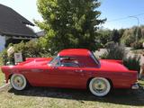 Ford Thunderbird 1955 - Original - Ford Thunderbird von privat