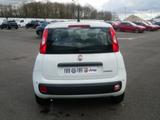Fiat Pandina PANDA ICON HYBRID 1.0 GSE 65PS PDC RADIO - weiße Fiat New Panda