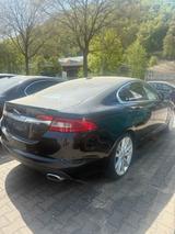 Jaguar XF 2.7 V6 Diesel Tüv 10/2027 - gebrauchte Jaguar XF aus dem Jahr 2008