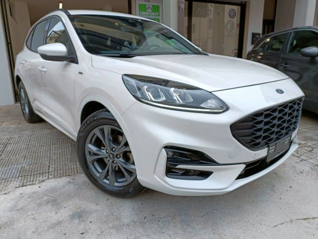 Ford Kuga 2.0 EcoBlue Hybrid 150 CV 2WD ST-Line