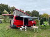 Ford Nugget Transit Custom AD - Angebote