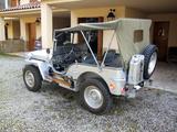 Jeep 1957 Jeep Willys - Jeep Willys von privat