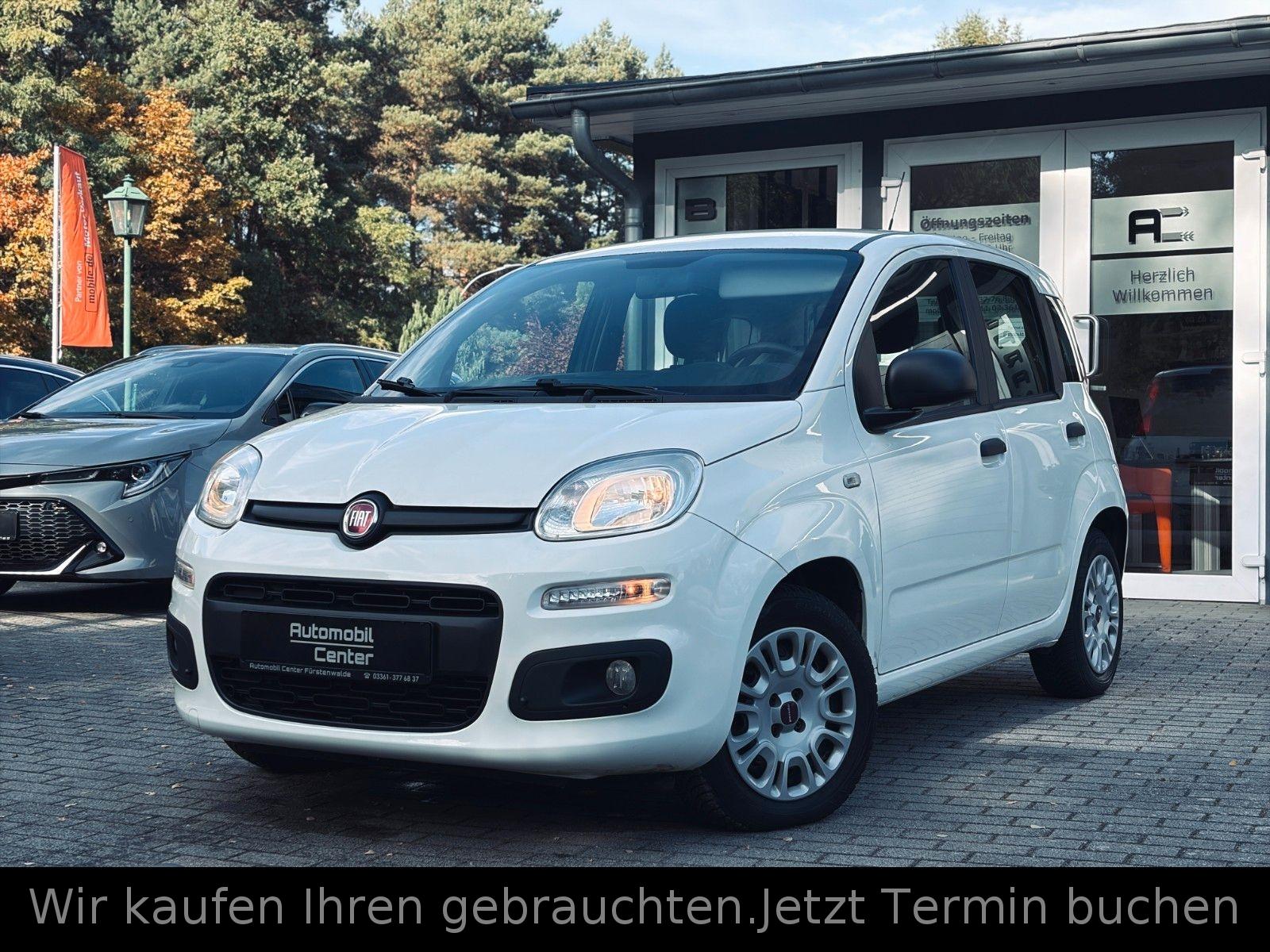 Fiat Panda CITY LIFE  1.2+Klima+1.Hand+erst 28Tkm+ZV+