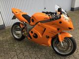 Honda CBR 1100 XX - HONDA CBR 1100 XX