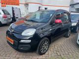 Fiat Panda Pop mit Klimaanlage im Top Zustand - Fiat Panda Gebrauchtwagen in Krefeld