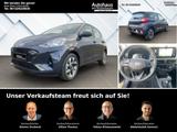 Hyundai i10 Trend (MY25) 1.0 Komfortpaket Navi Apple Car