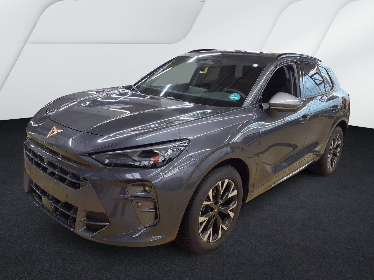 Cupra Terramar - Bild 2