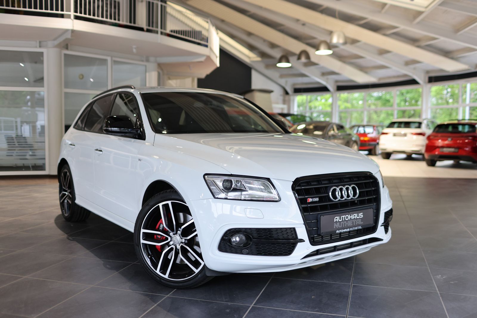 AUDI SQ5 3,0 TDI PLUS QUATTRO 1. BESITZ / RAUTE / B&amp;O