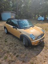 MINI COOPER (R50) Gold  - MINI MINI: Go